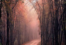 国际足球联赛火爆启幕,球员们为胜利而奋斗