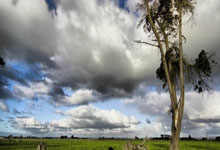 精神斗志引领比赛：球员拼尽全力，争夺胜利