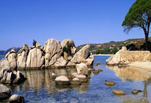 斯洛文尼亚淘汰克罗地亚,晋级欧洲预选赛